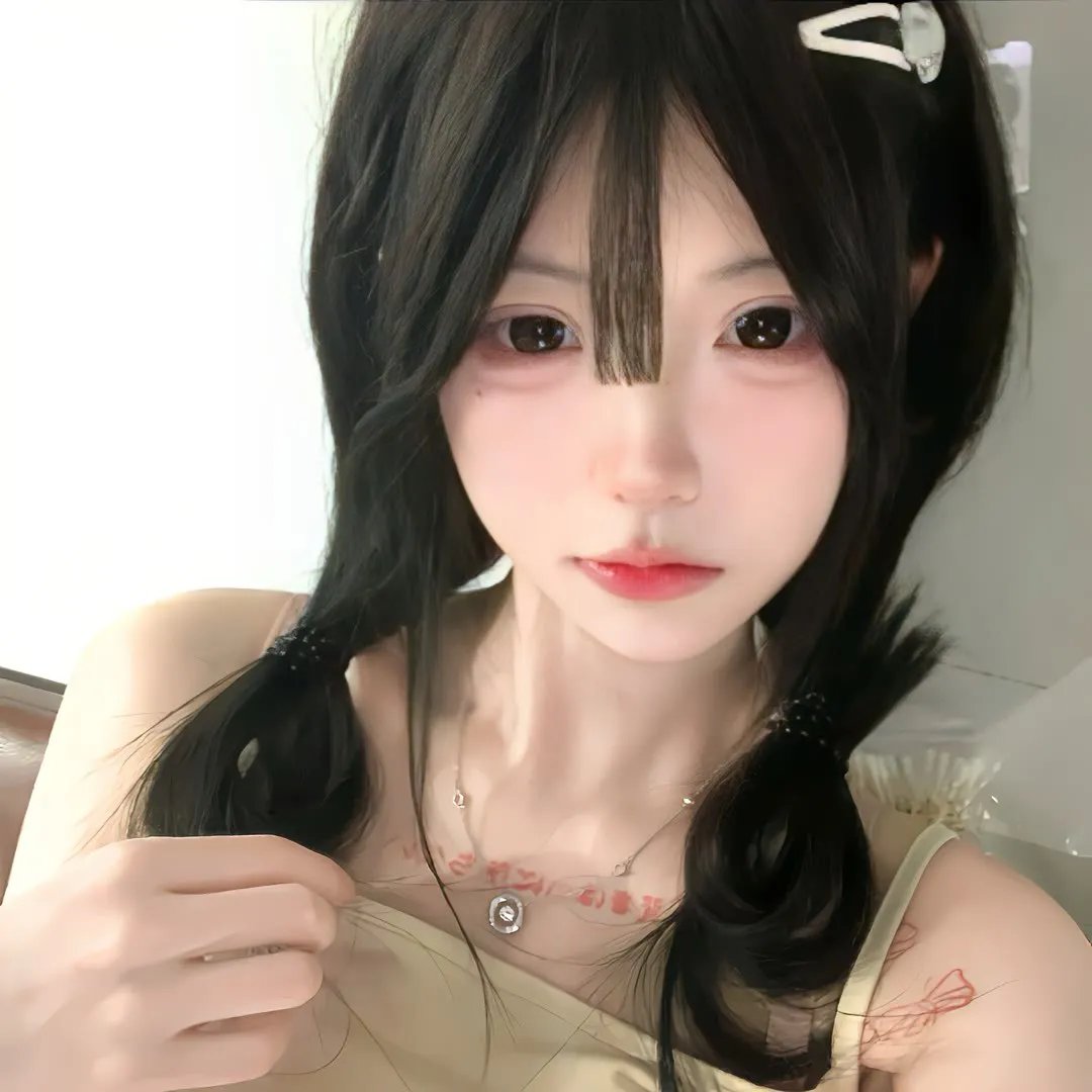 黑之契约者2:流星的双子